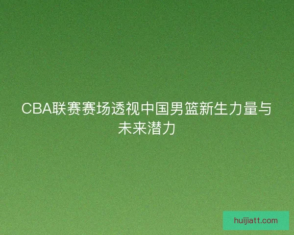 CBA联赛赛场透视中国男篮新生力量与未来潜力